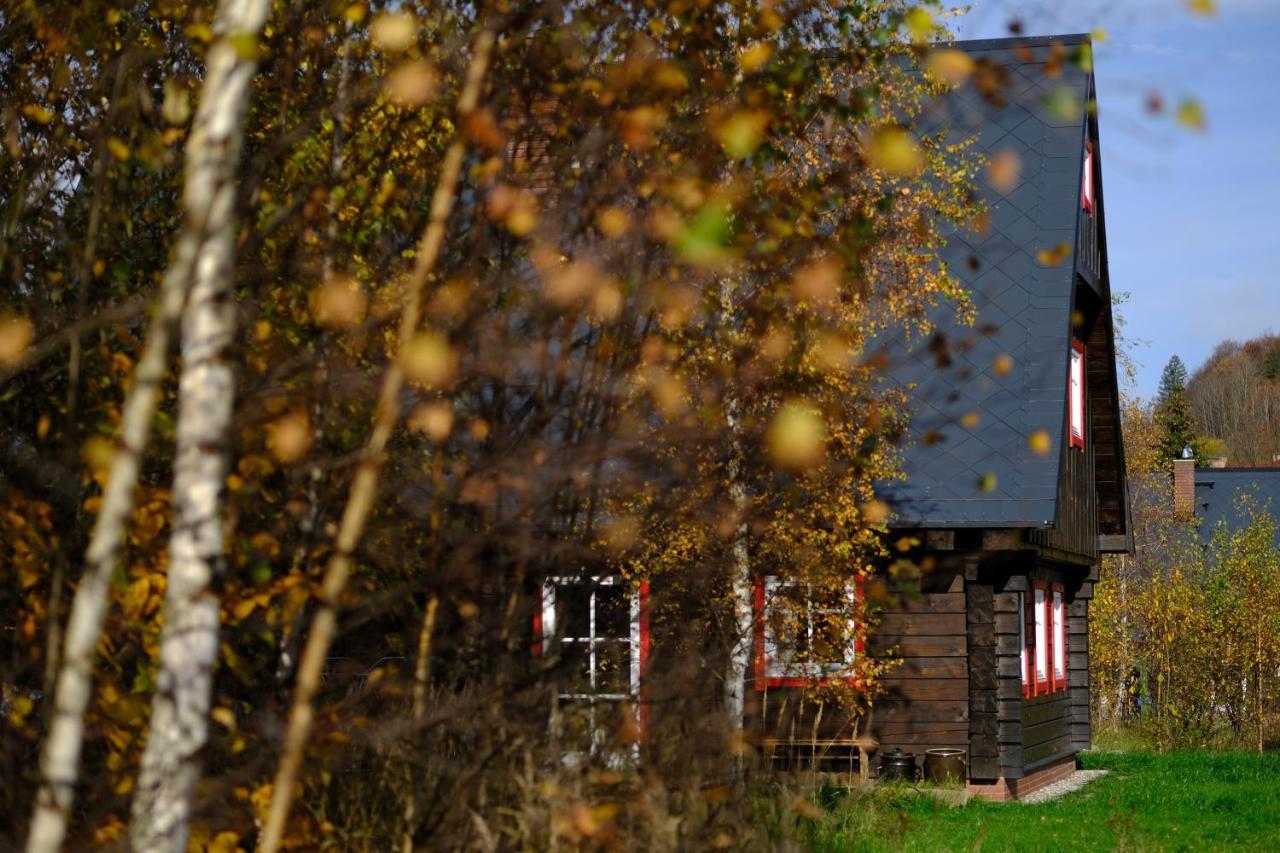 Chata Waliszow Nowy Waliszow Exterior photo